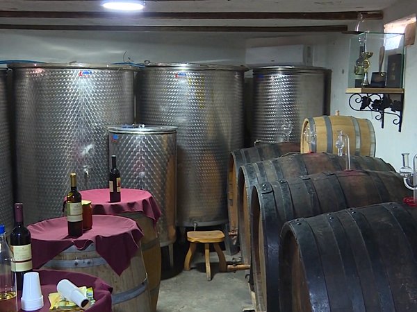 Dégustation de vins à Velika Hoca