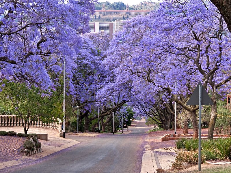 Pretoria