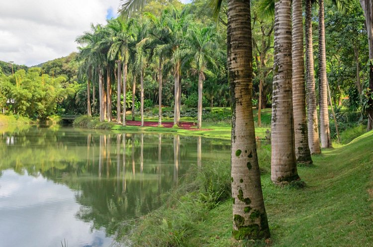 Institut Inhotim - Brumadinho, Brésil 3