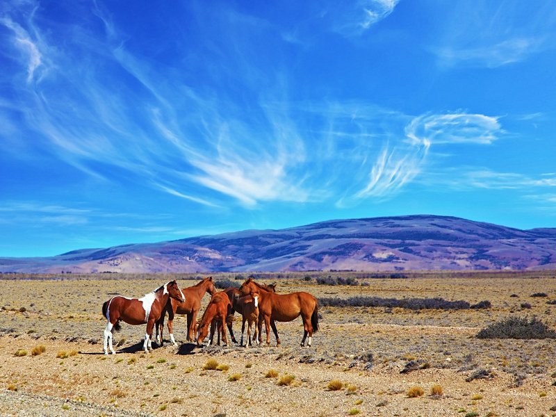 La Pampa