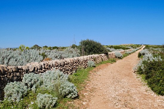 Vendicari Reserve