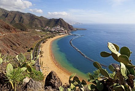 Canaries