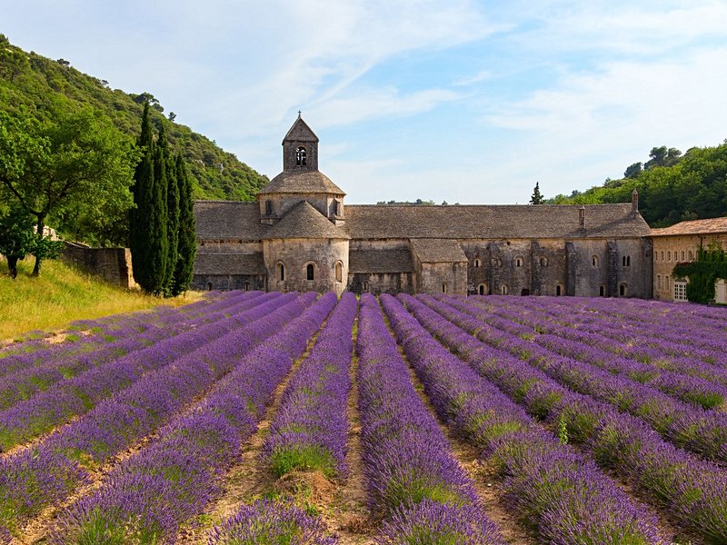L'Abbaye de Sénanque