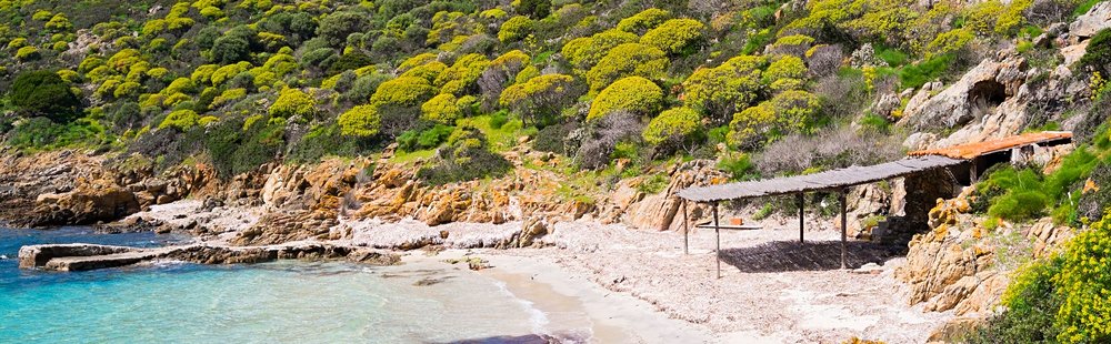 Parc de l'Asinara