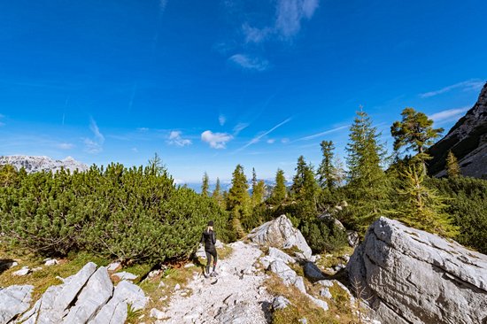 Col de Vršič