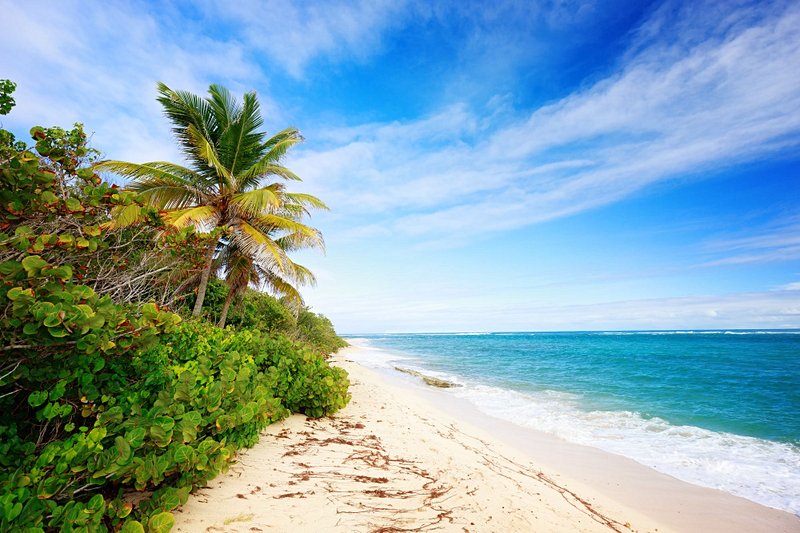 plage Le Cap Macré