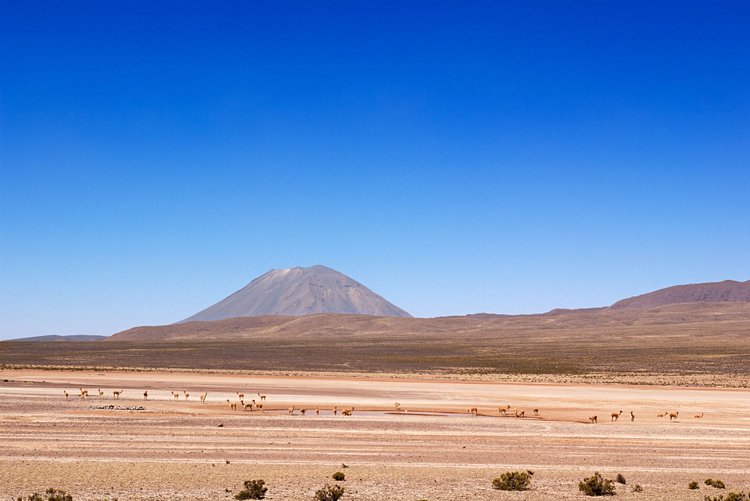 Reserva Nacional de Salinas y Aguada Blanca 2