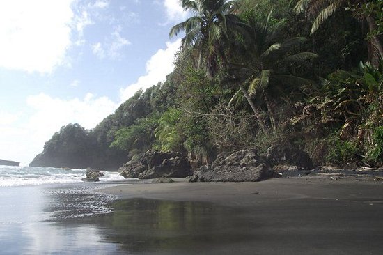 Rosalie Bay
