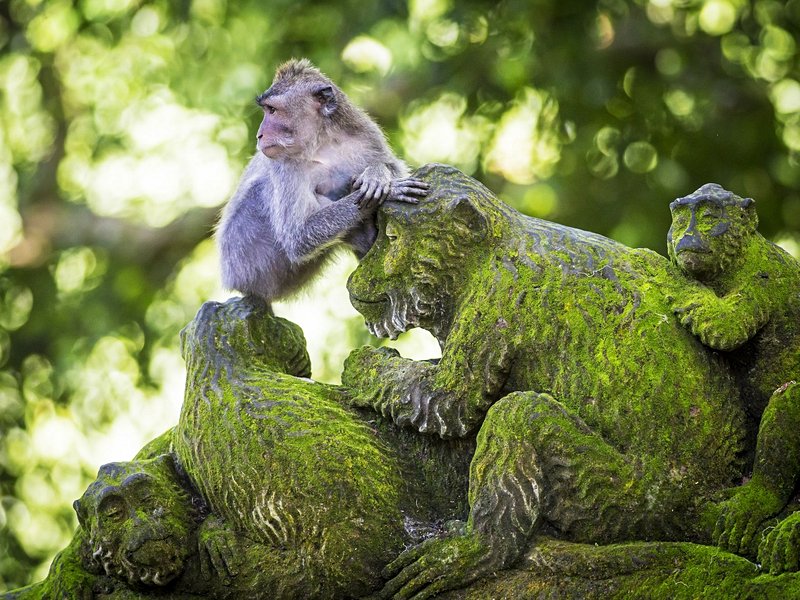 Ubud (Bali)