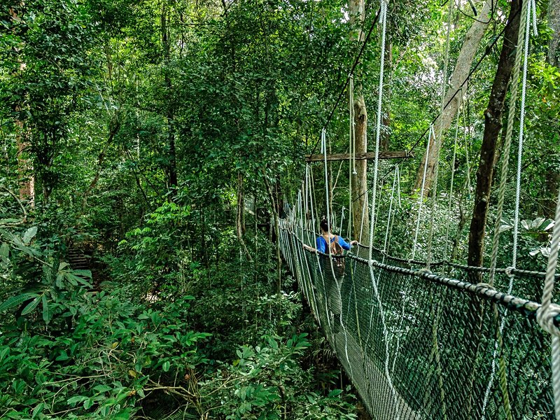 Le parc national de Taman Negara