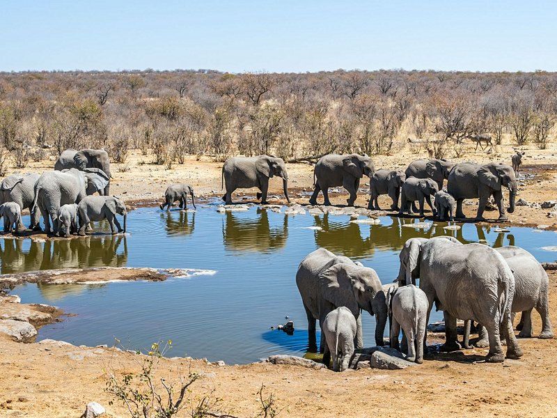 Parc national d'Etosha