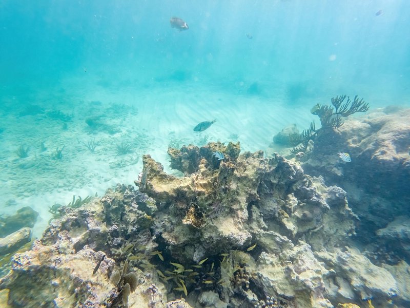 Mahahual