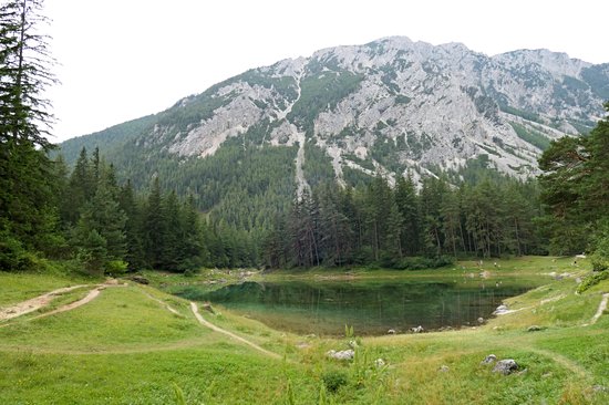 Grüner See