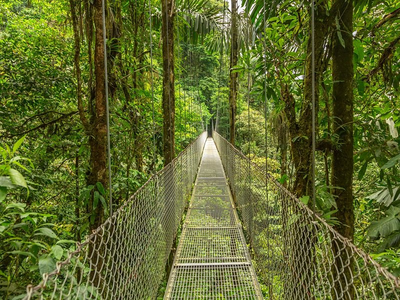 Le Monteverde