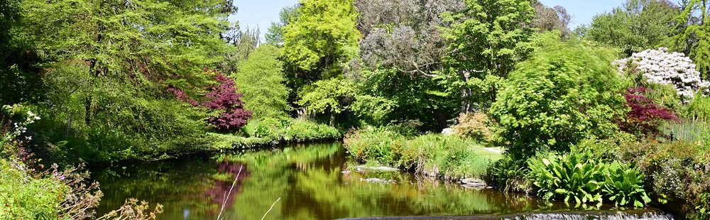 L’explosion exotique de Mount Usher Gardens