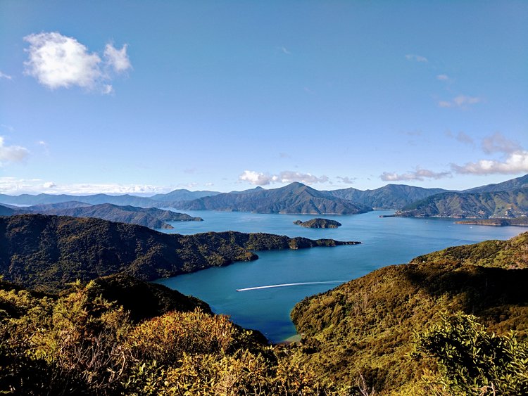 Marlborough Sounds 2