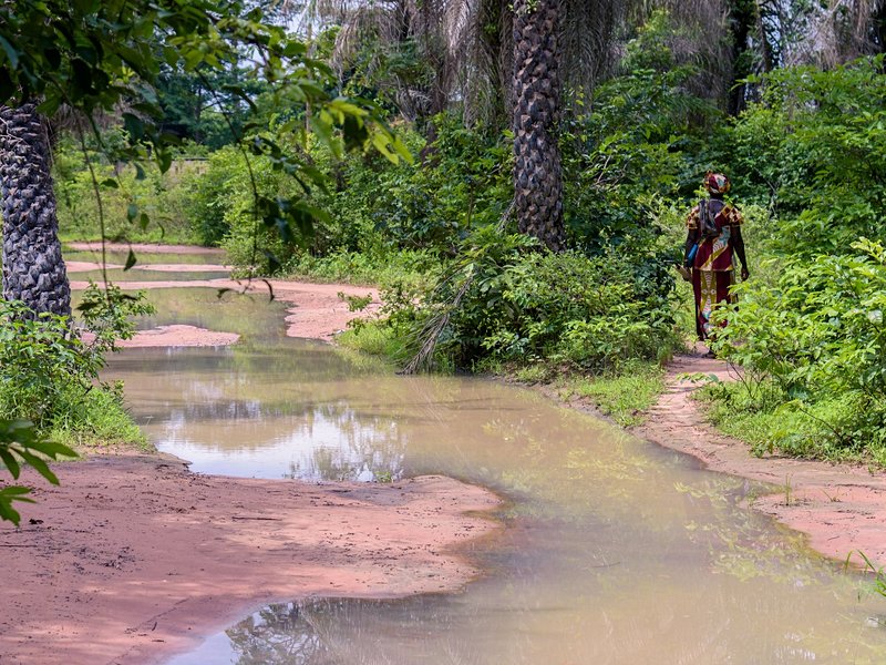 La Casamance