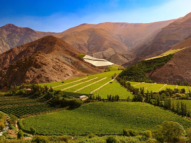 Valle del Elqui