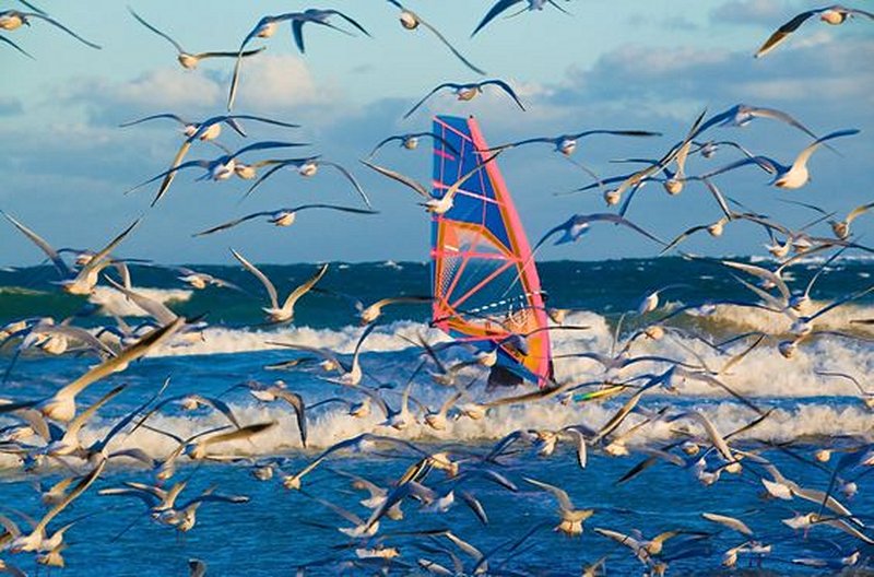 Découvrir la Bretagne sur l’eau