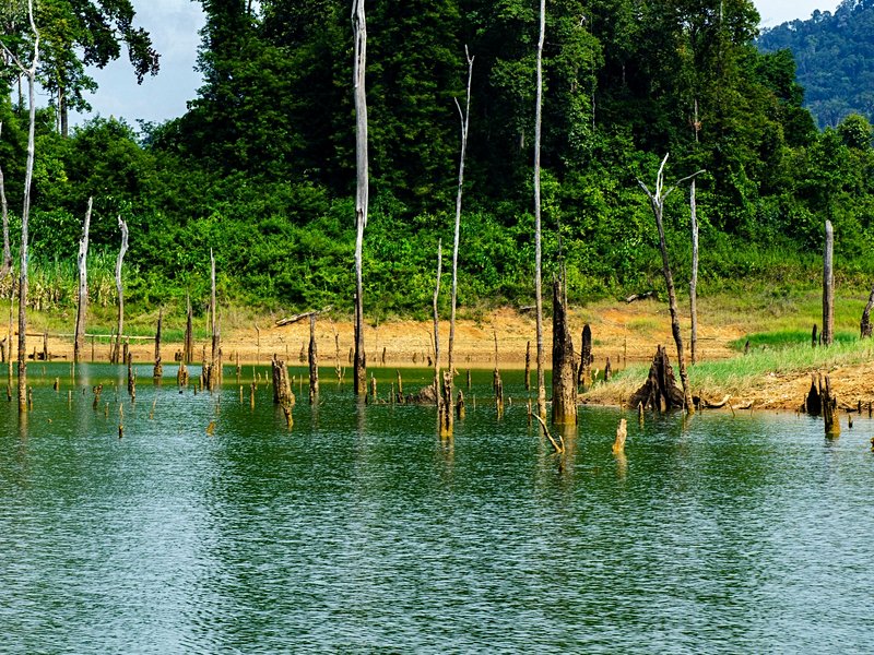 Royal Belum State Park – Perak