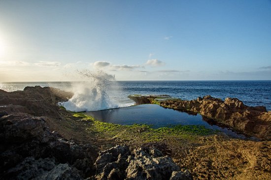 Admirer Devil’s Tear 