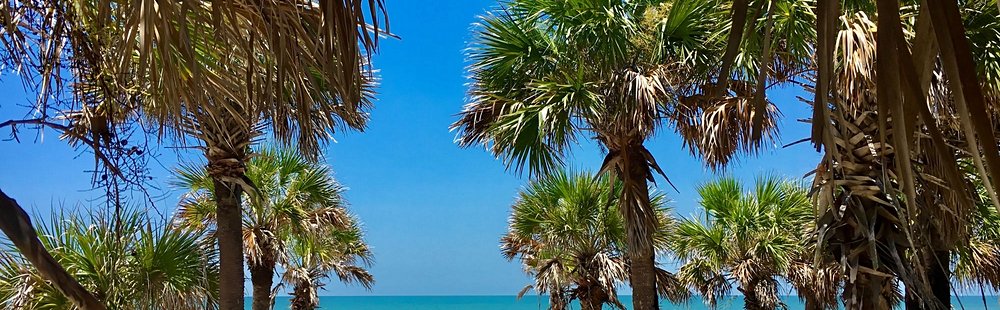 Honeymoon Island et Caladesi