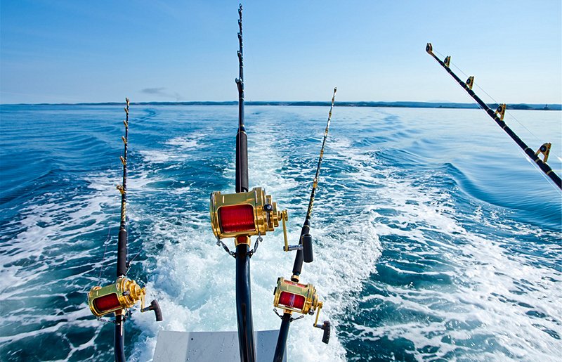 S'initier à la pêche au gros