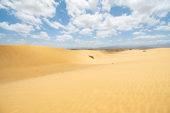 Parc national Los Médanos de Coro