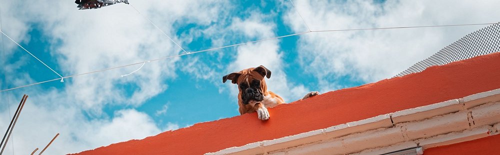 Le quartier de Jalatlaco