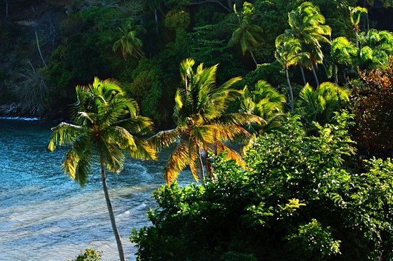 Samana
