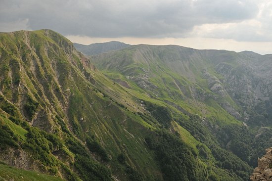 Maglić