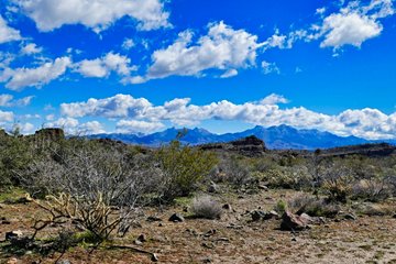 Kingman
