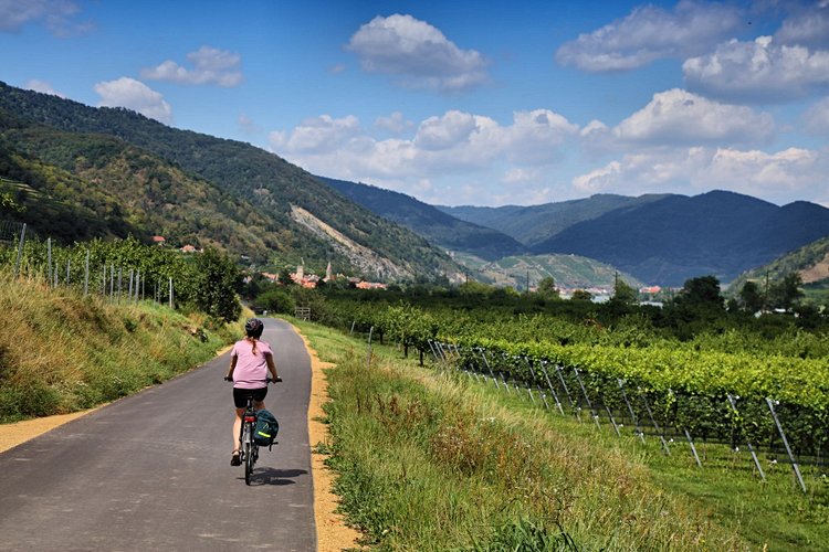 Route des vins de la vallée de Wachau - Autriche 3