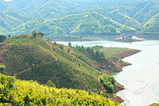 Lac Ta Dung