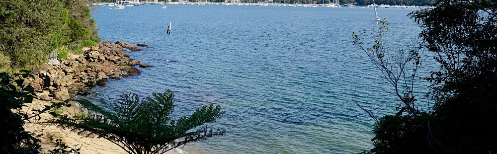 Queens Beach (Sydney)