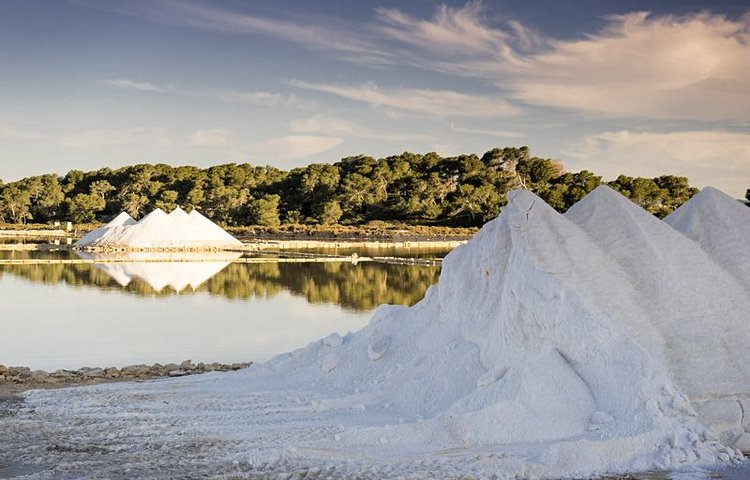 Les salines du village de Colònia de Sant Jordi 
