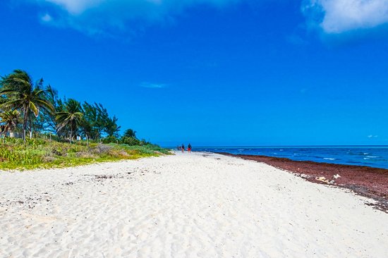 La plage de Punta Esmeralda