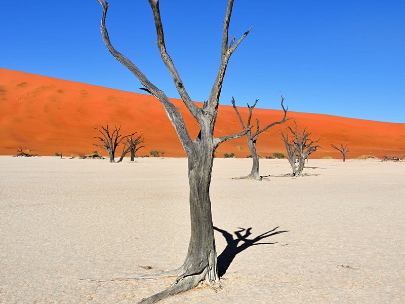 Deadvlei