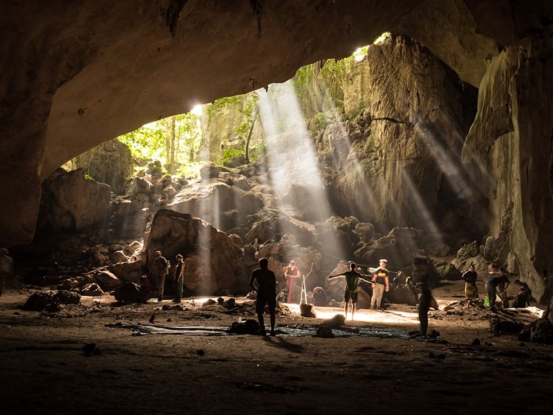 Le parc national de Taman Negara