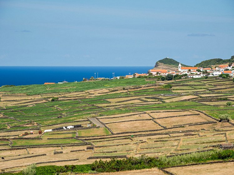 L'apprécié Miradouro do Raminho 3
