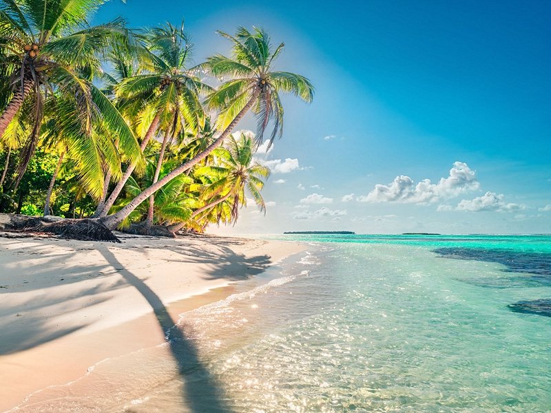 Les plages de l'île de Pemba