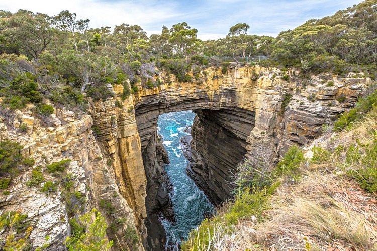 Péninsule de Tasman 2