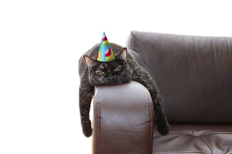 Ne venir (que) pour faire la fête !