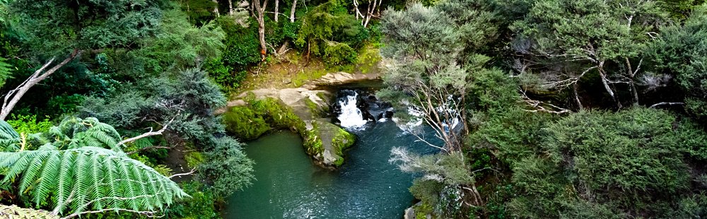 Goldie Bush Scenic Reserve
