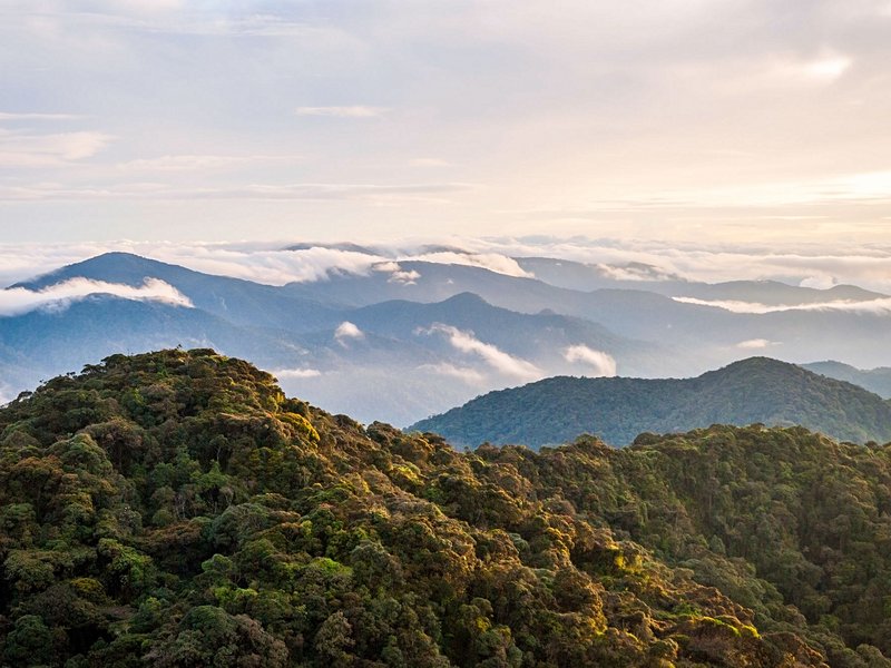 Gunung Brinchang