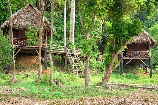 Parc national de Cat Tien