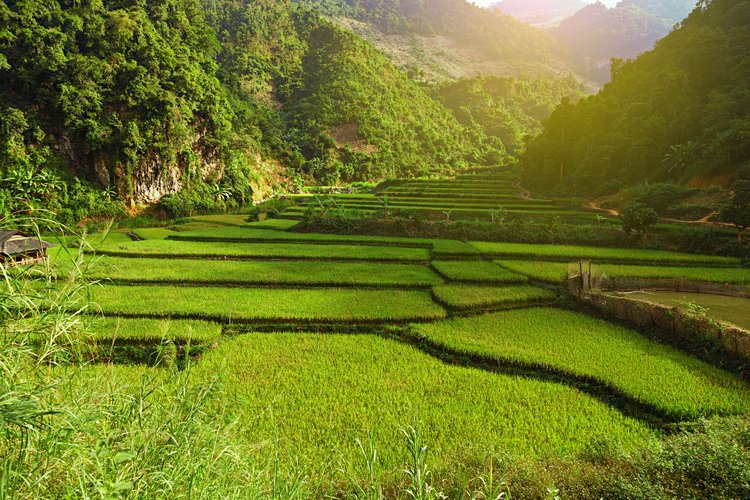 La vallée de Mai Chau