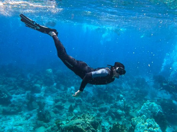 Plongée sous marine dans un aquarium naturel à ciel ouvert à la Réserve Cousteau