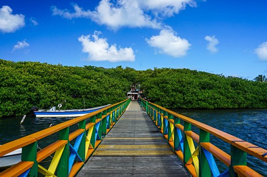 Île Santa Catalina