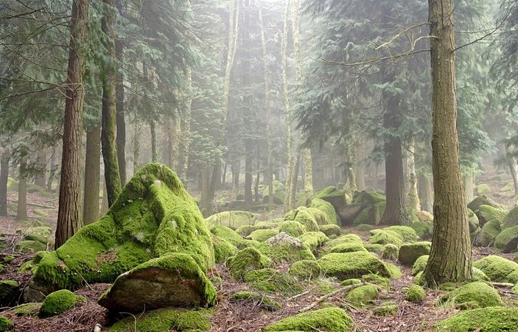 Parc national de Peneda-Gerês